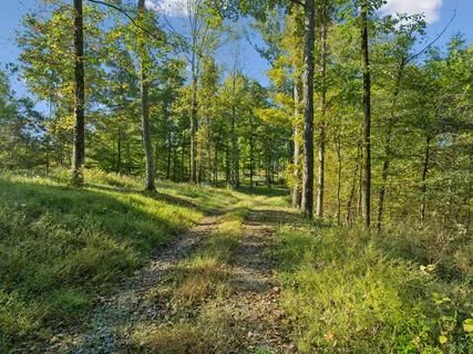 $1,215,000 | 6017 Russell Ridge Lane, Franklin, TN 37064
