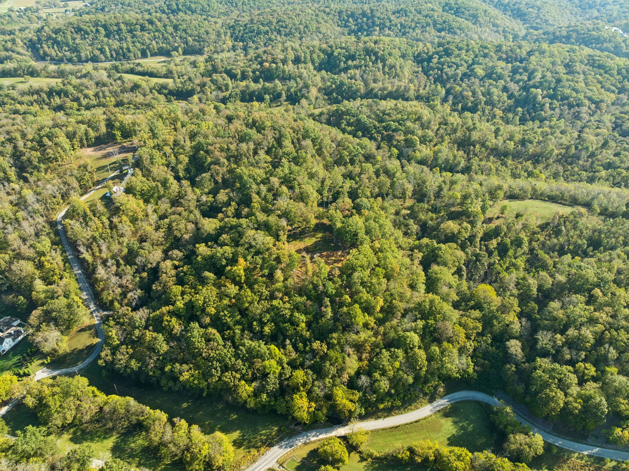 6017 Russell Ridge Lane Franklin, TN 37064 - Photo 55 of 73