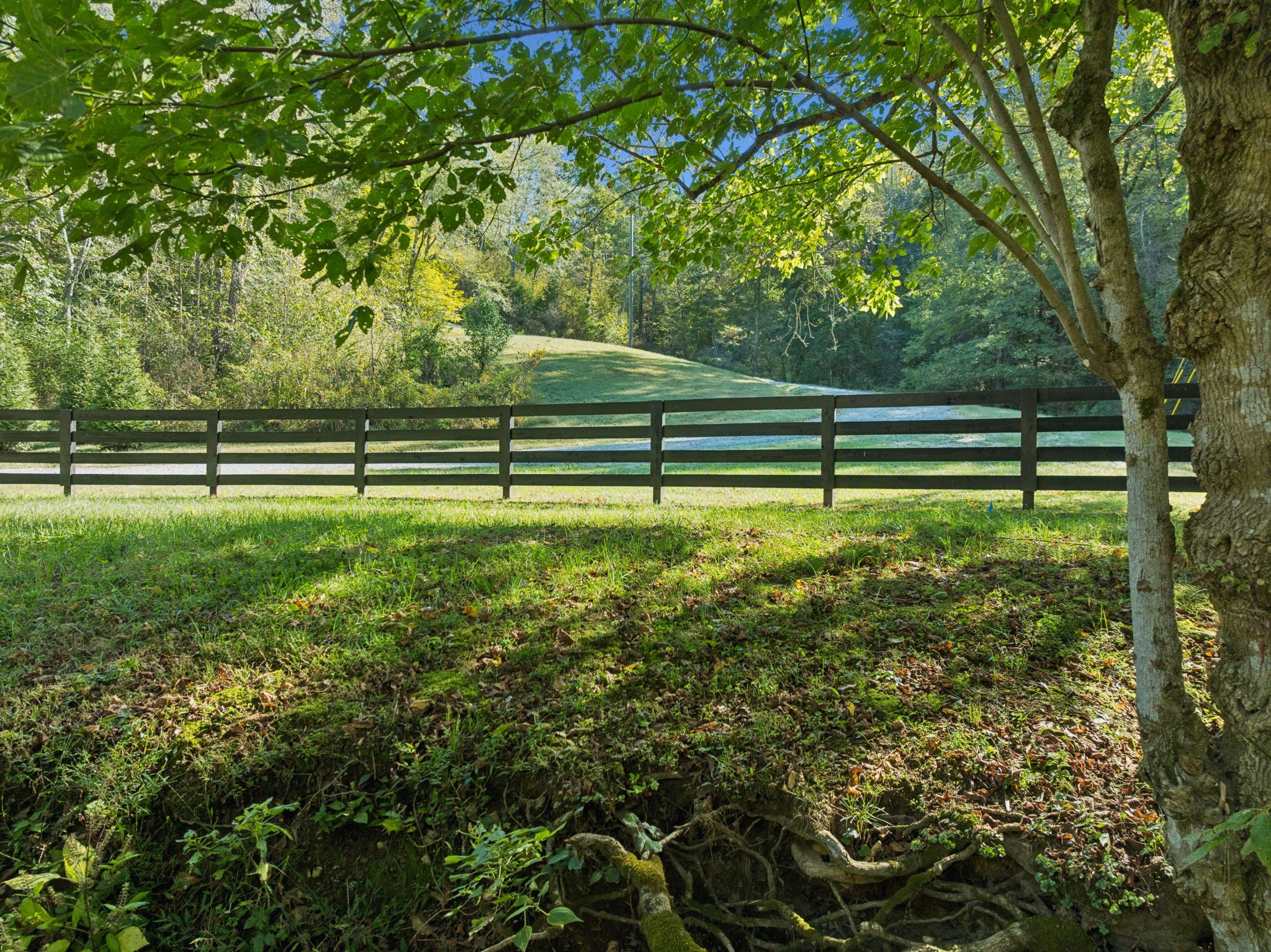6017 Russell Ridge Lane Franklin, TN 37064 - Photo 56 of 66 a view of outdoor space