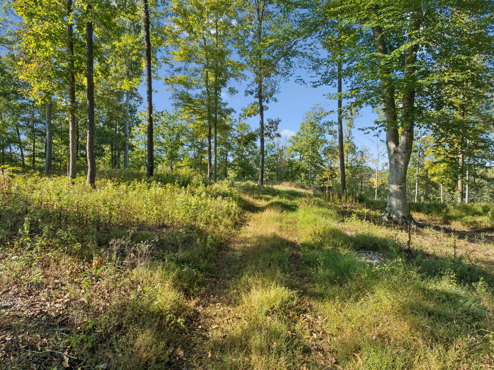 6017 Russell Ridge Lane Franklin, TN 37064 - Photo 56 of 73
