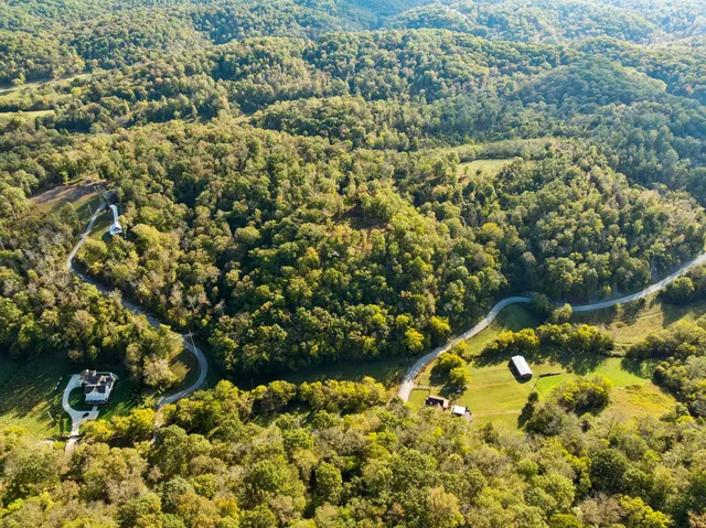 a view of a garden with a tree