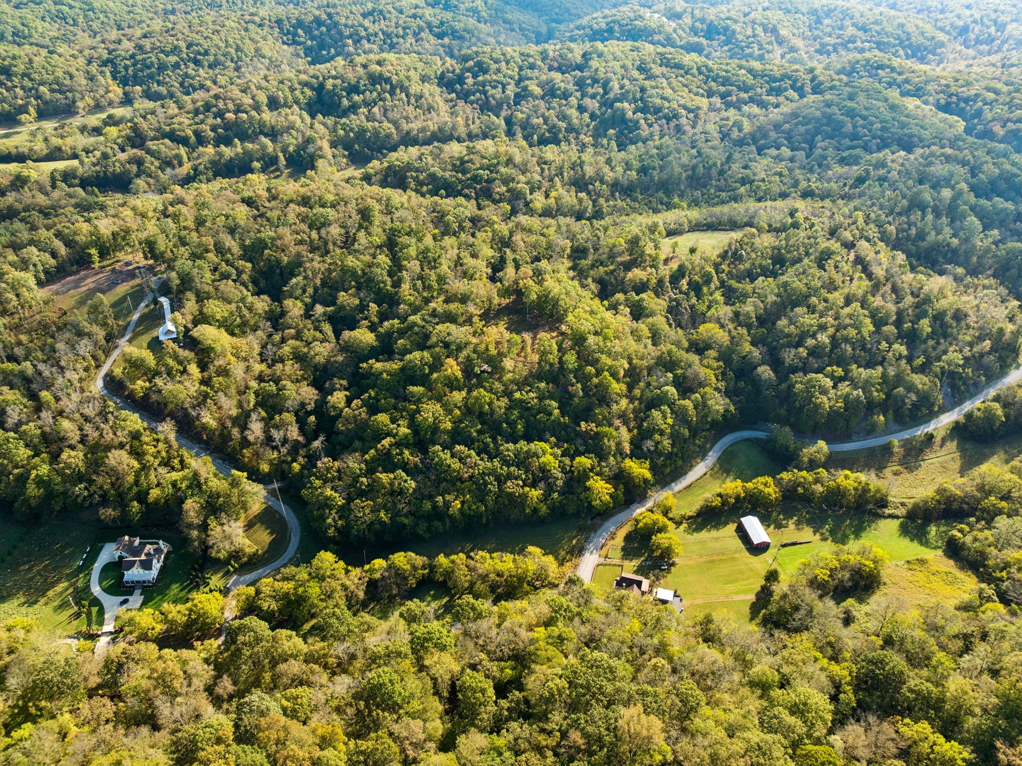 6017 Russell Ridge Lane Franklin, TN 37064 - Photo 8 of 73 a view of a garden