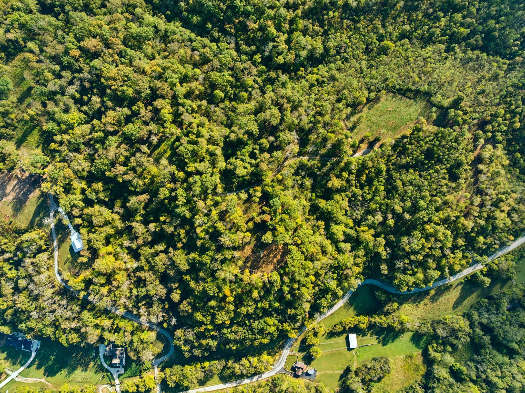 6017 Russell Ridge Lane Franklin, TN 37064 - Photo 9 of 73 a view of a tree