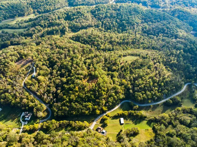 a view of a lush green forest with trees and some houses
