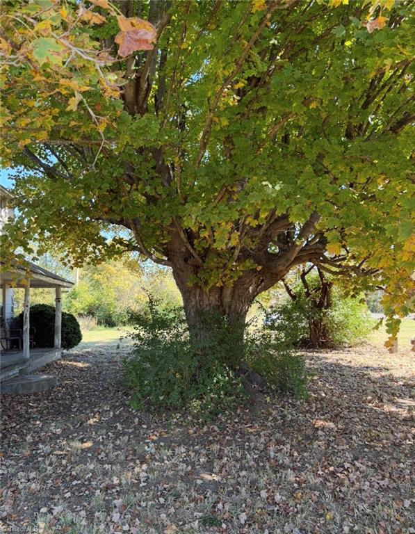 7246 Old US Highway 64 Trinity, NC 27370 - Photo 12 of 19 Beautiful 100+ year old tree in front yard