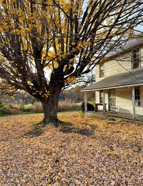 7246 Old US Highway 64 Trinity, NC 27370 - Photo 13 of 19 100+ yr old tree out front