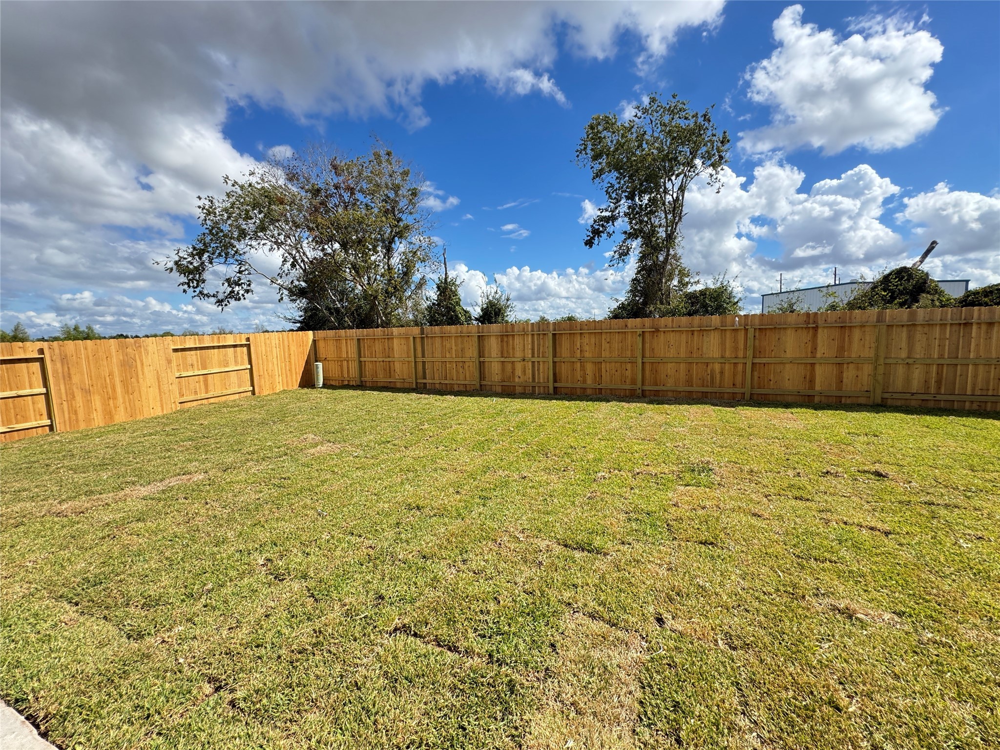 8226 Holly Blue Drive Rosharon, TX 77583 - Photo 13 of 47 **Photos are strictly illustrative. This is not the actual homesite.**