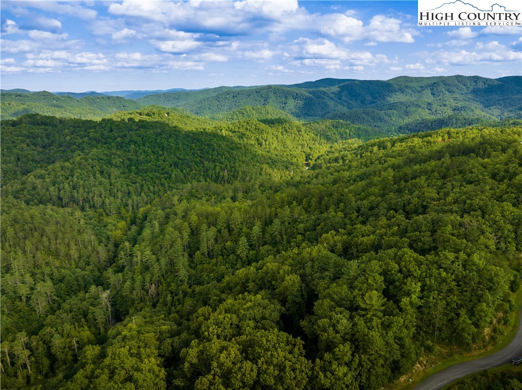 33 Inkberry Drive Ferguson, NC 28624 - Photo 3 of 49