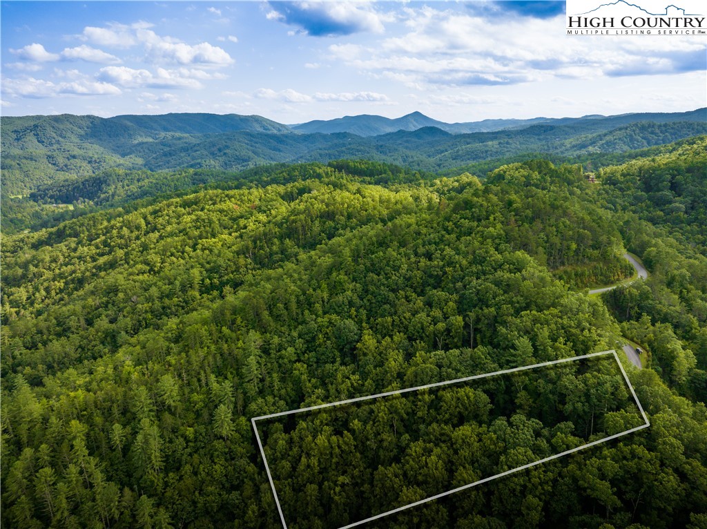 33 Inkberry Drive Ferguson, NC 28624 - Photo 4 of 49