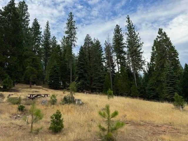 $66,999 | 27488 Shake Ridge Road, Volcano, CA 95689
