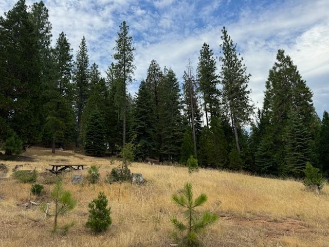 27488 Shake Ridge Road Volcano, CA 95689 - Photo 3 of 11