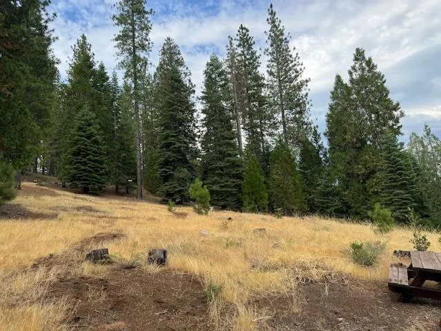$66,999 | 27488 Shake Ridge Road, Volcano, CA 95689