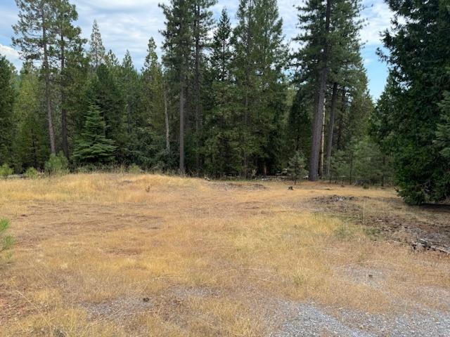 27488 Shake Ridge Road Volcano, CA 95689 - Photo 5 of 11