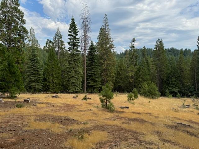 27488 Shake Ridge Road Volcano, CA 95689 - Photo 6 of 11