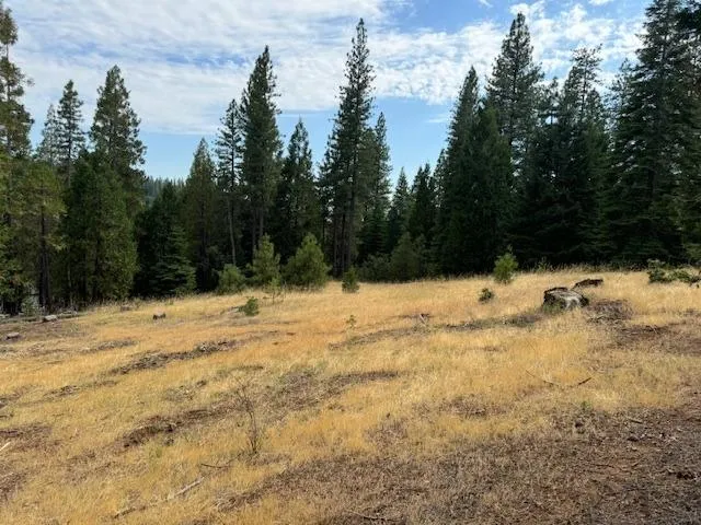 $66,999 | 27488 Shake Ridge Road, Volcano, CA 95689