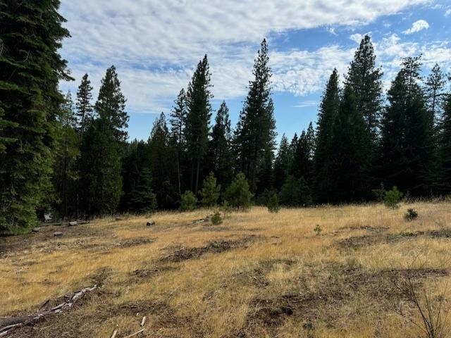 27488 Shake Ridge Road Volcano, CA 95689 - Photo 8 of 11