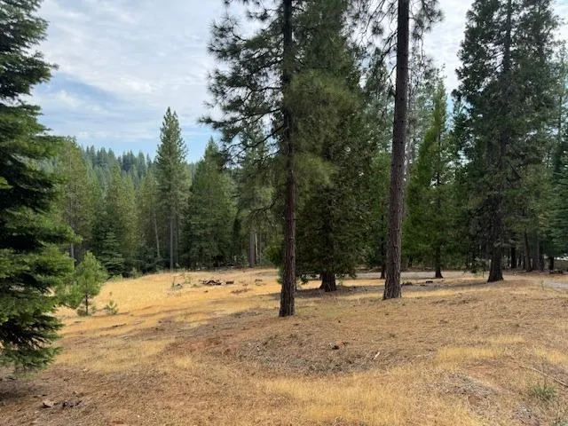 $66,999 | 27488 Shake Ridge Road, Volcano, CA 95689