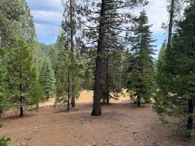 $66,999 | 27488 Shake Ridge Road, Volcano, CA 95689