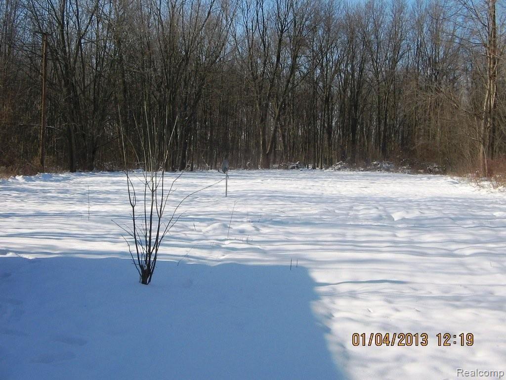 4464 South Lotz Road Canton, MI 48188 - Photo 3 of 11 3.07 Acres Wooded