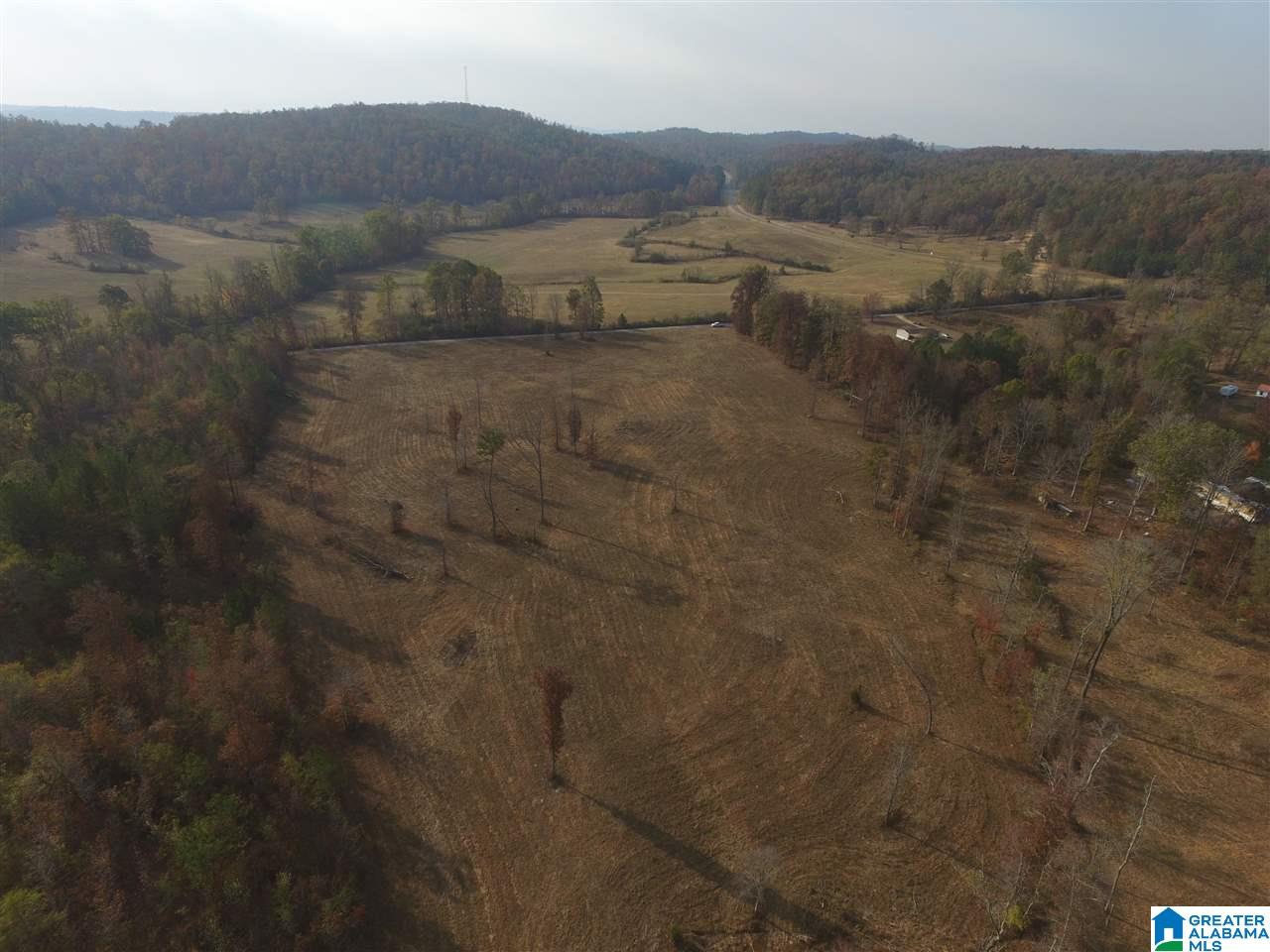 0 Wooden Trace Circle, Unit 30 Springville, AL 35146 - Photo 24 of 25