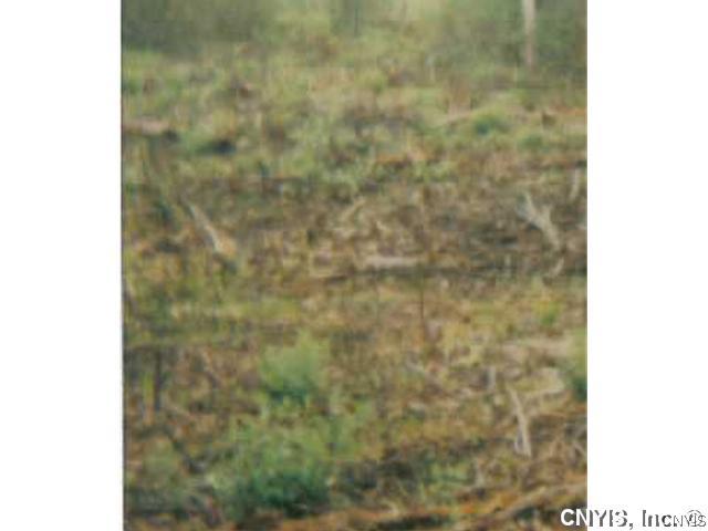 0 Sand Road Henderson Harbor, NY 13651 - Photo 1 of 1 Land