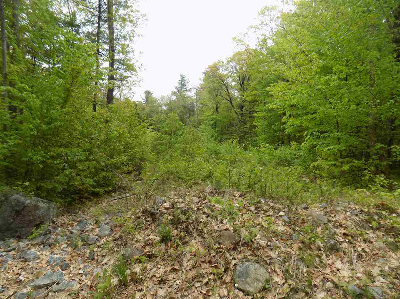 451 Bailey Road Washington, NH 03280 - Photo 3 of 5 Gallery Image 3