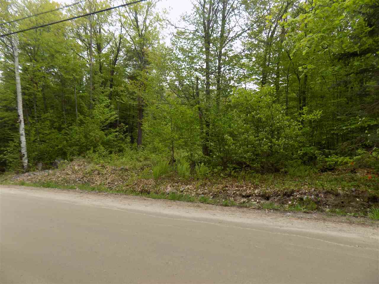 451 Bailey Road Washington, NH 03280 - Photo 5 of 5 Gallery Image 5