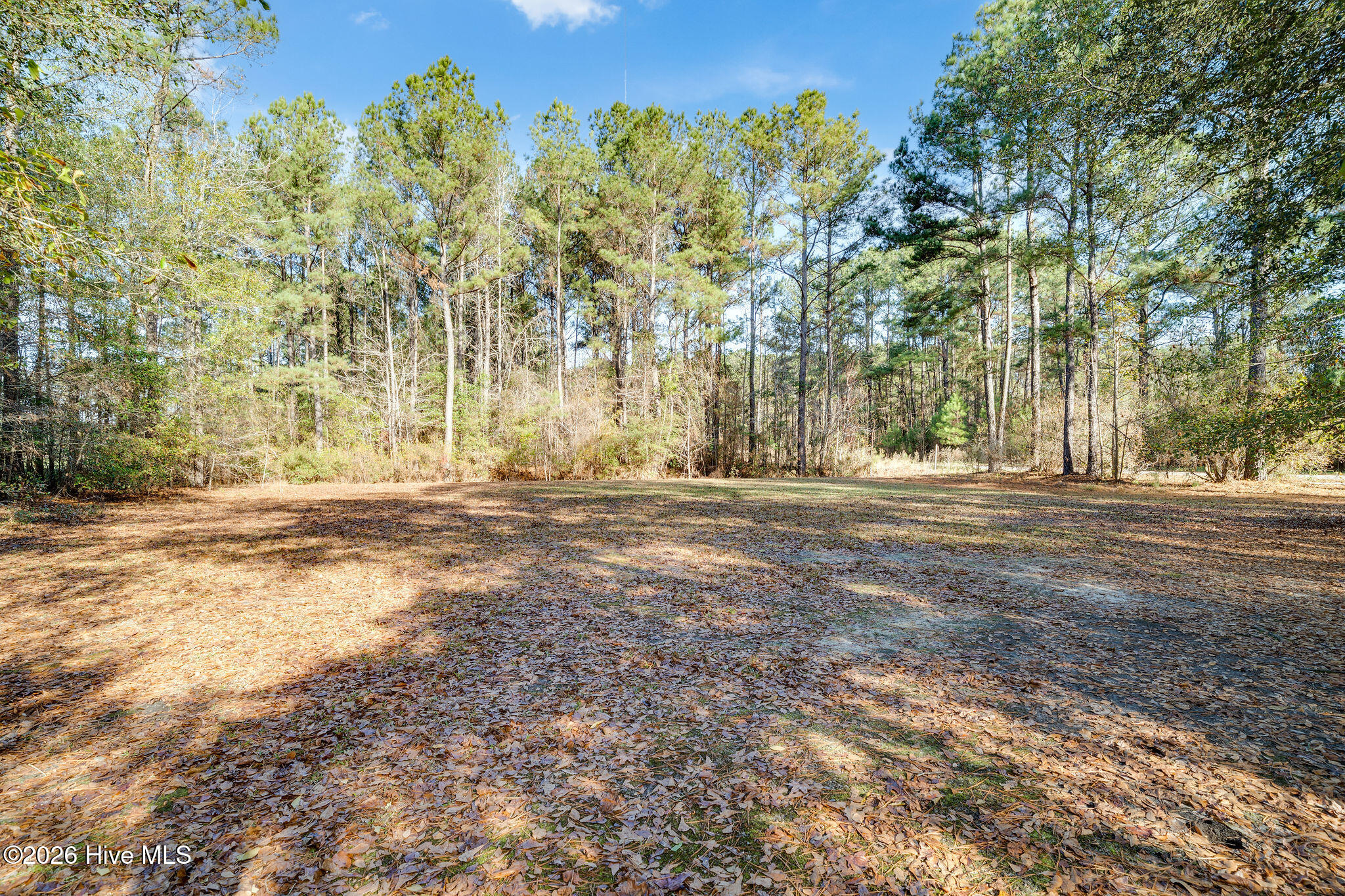 401 Messer Loop Road Burgaw, NC 28425 - Photo 26 of 32 401messerloop30