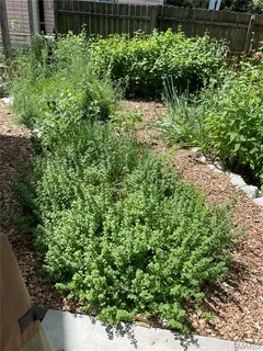 $575,000 | 3149 Cherry Avenue, Maplewood, MO 63143