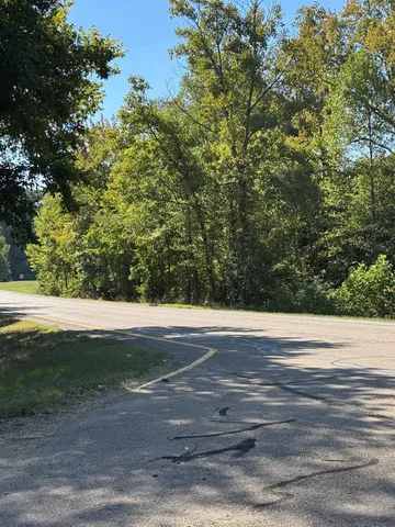 a view of a yard with large trees