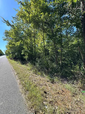 a view of a yard with plants and trees