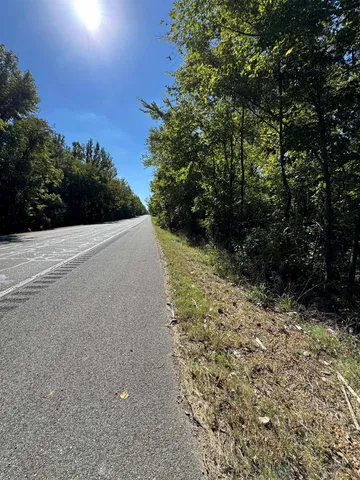 a view of a field with an trees
