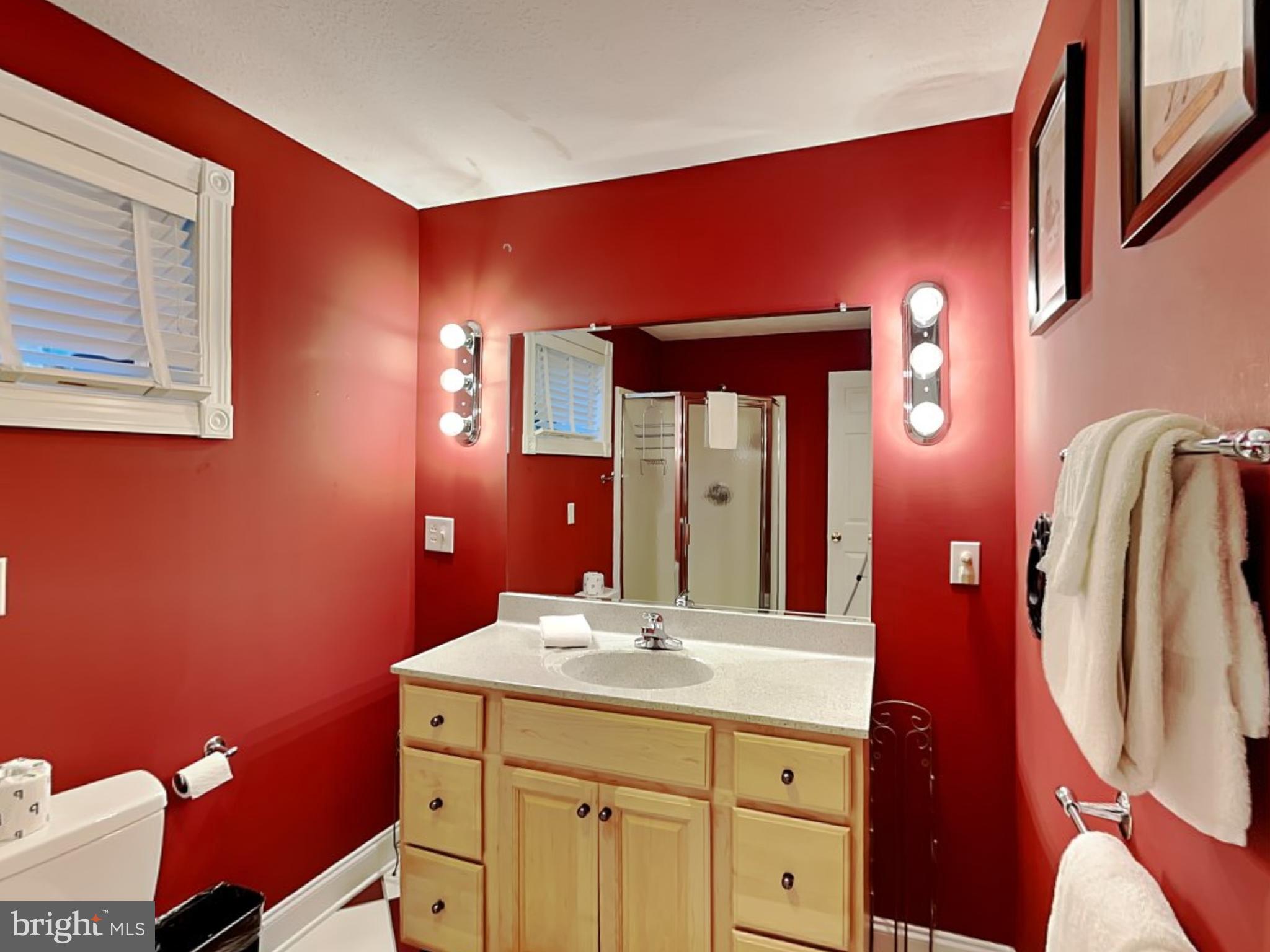 3067 Shingle Camp Road McHenry, MD 21541 - Photo 20 of 68 a bathroom with a sink a mirror and a vanity