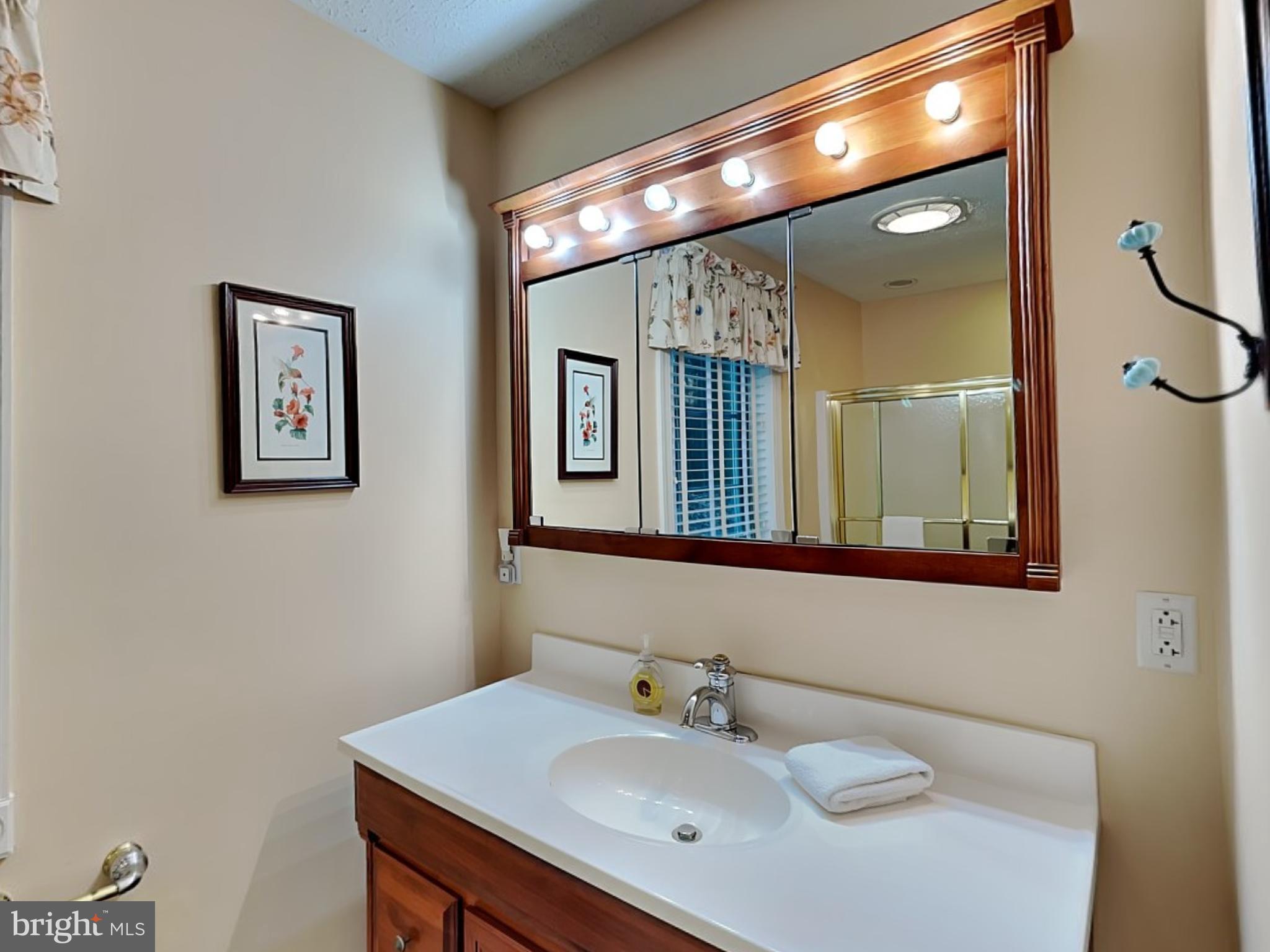3067 Shingle Camp Road McHenry, MD 21541 - Photo 22 of 68
