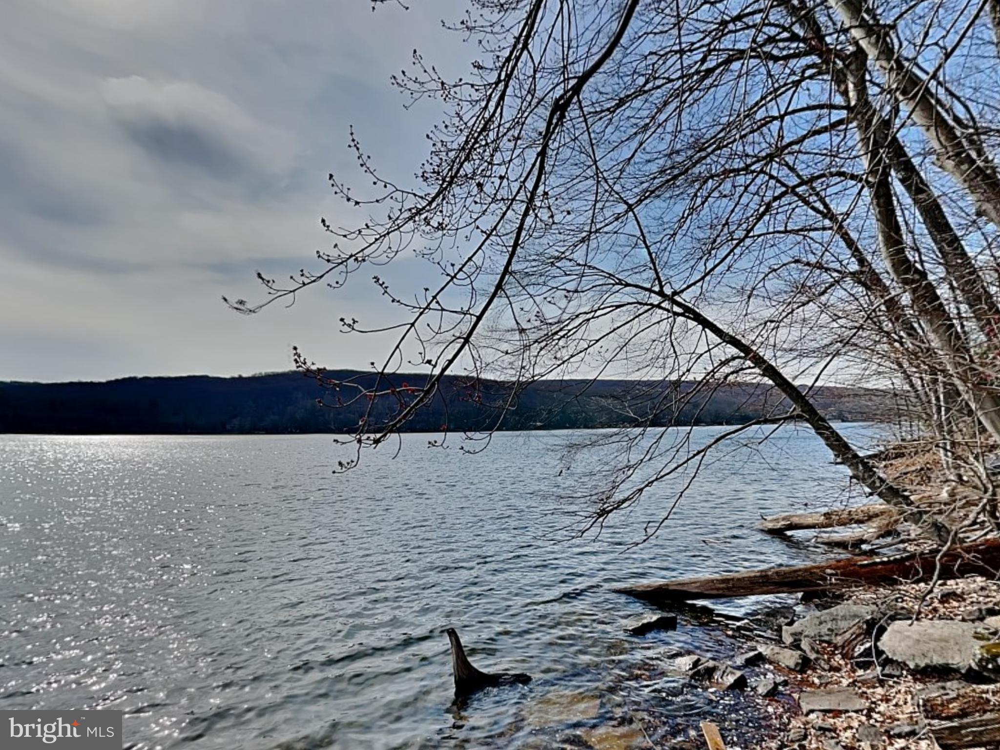 3067 Shingle Camp Road McHenry, MD 21541 - Photo 39 of 68 a view of wooden floor