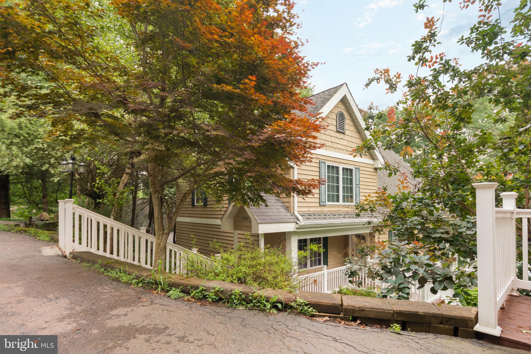 3067 Shingle Camp Road McHenry, MD 21541 - Photo 61 of 68 a front view of a house with a tree