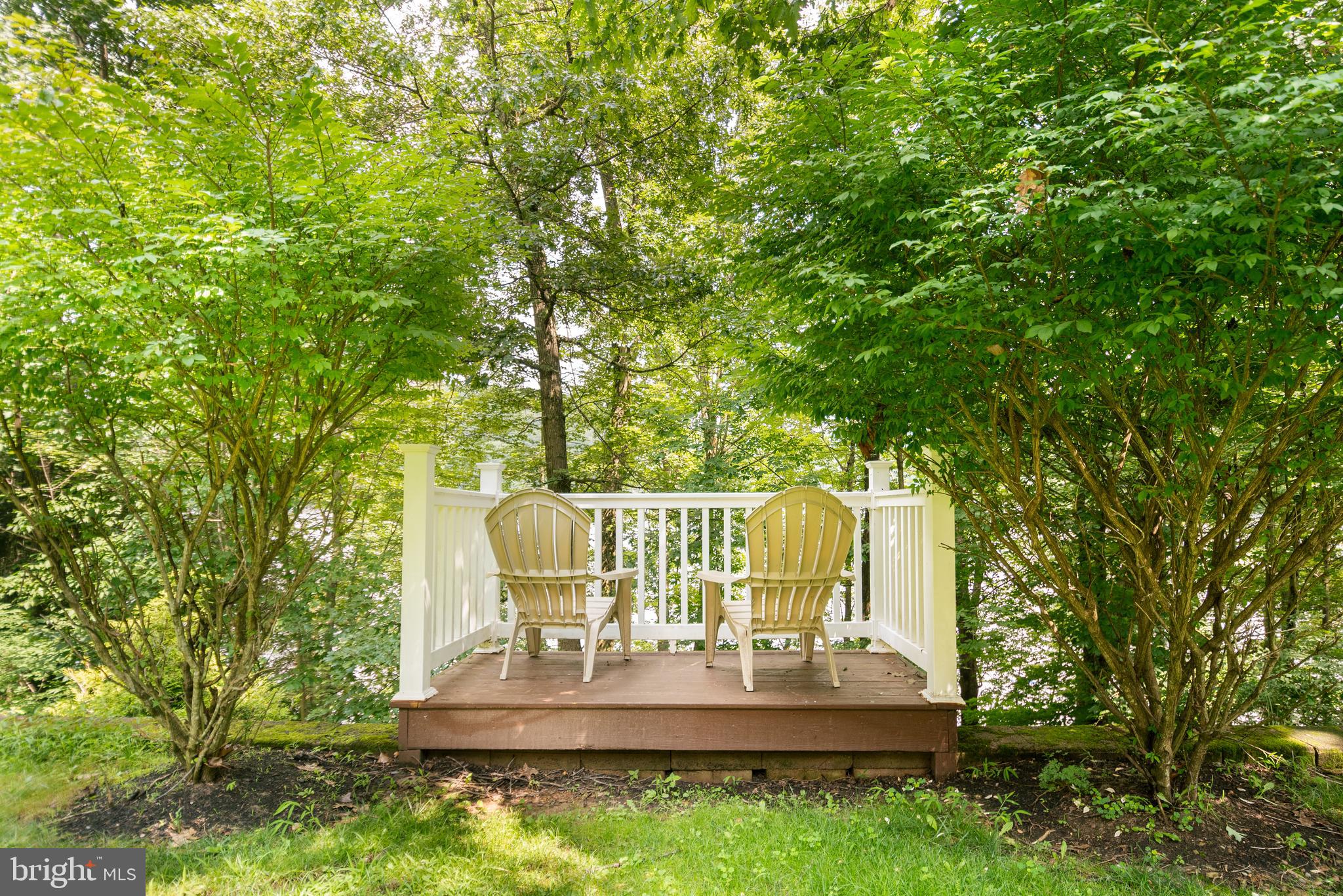 3067 Shingle Camp Road McHenry, MD 21541 - Photo 64 of 68 a view of outdoor space