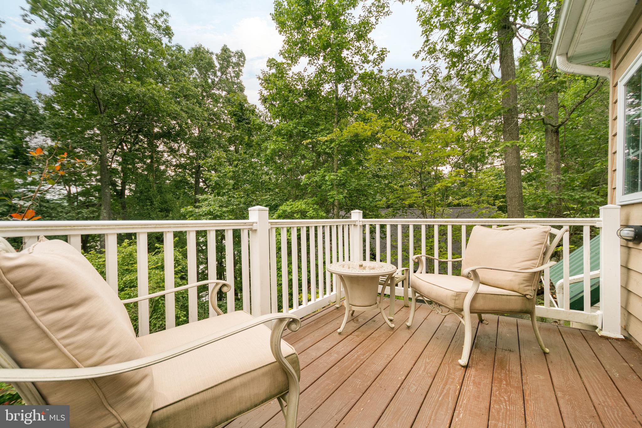 3067 Shingle Camp Road McHenry, MD 21541 - Photo 67 of 68