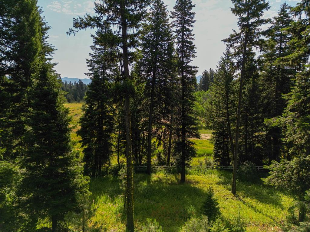 4625 Williams Creek Loop, Unit 96 McCall, ID 83638 - Photo 1 of 4 Main View