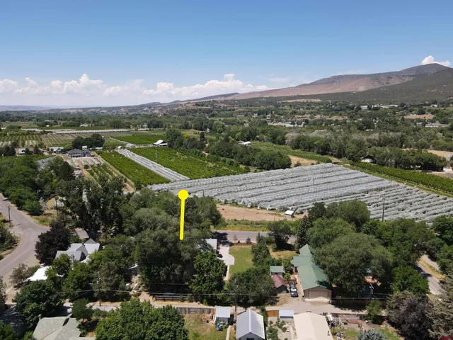 a view of a terrace with a garden