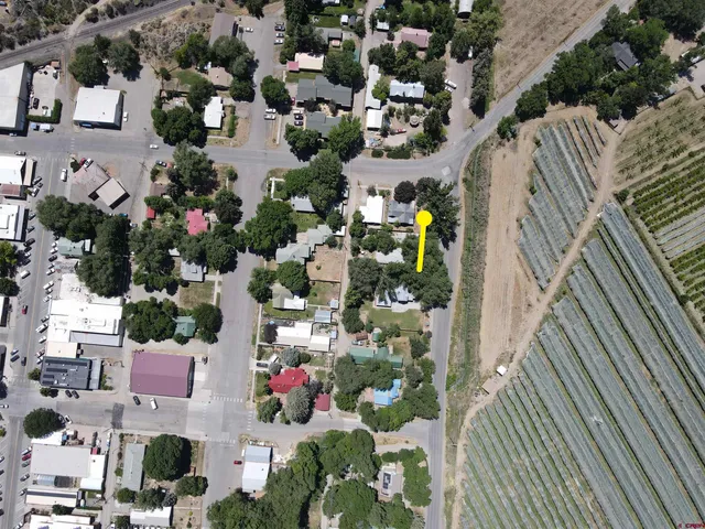 a view of city and flowers