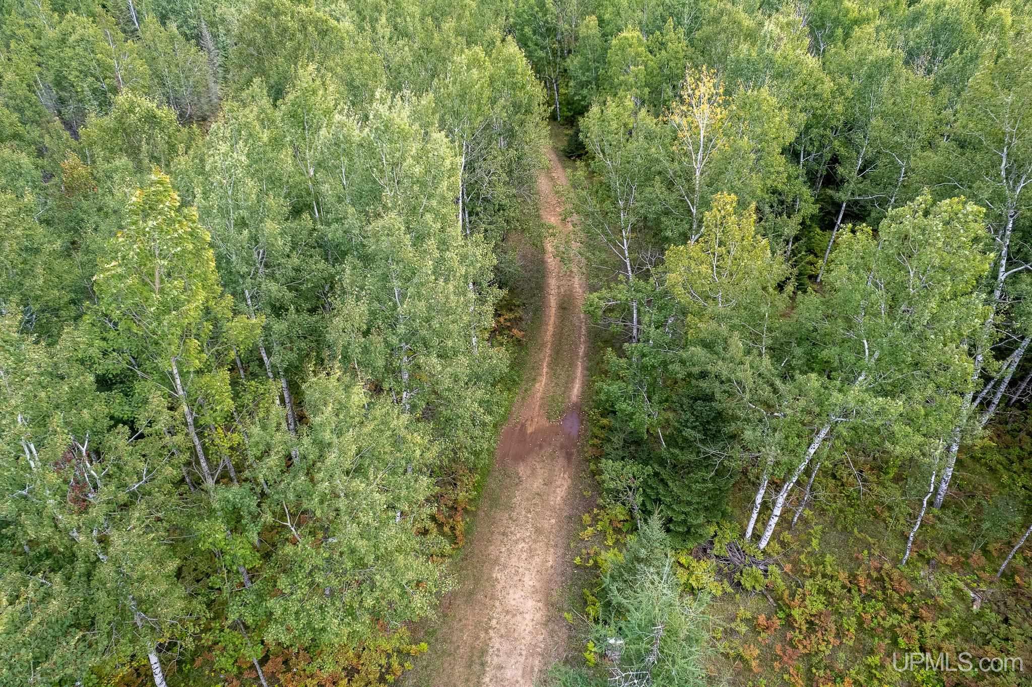 Tbd Off River Road North 40 Road Perronville, MI 49873 - Photo 5 of 12