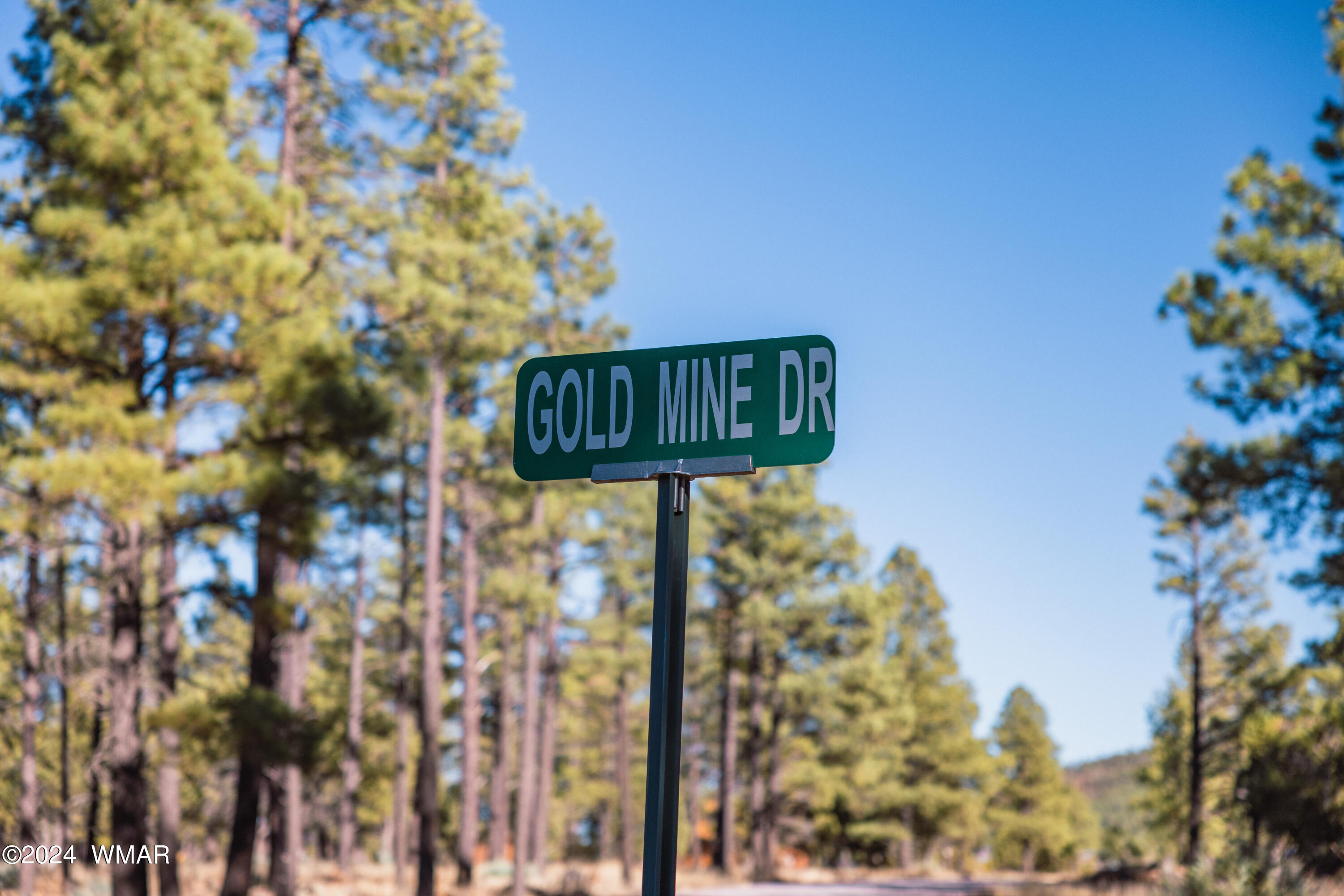 39 L Dynamite Pinetop, AZ 85935 - Photo 11 of 12