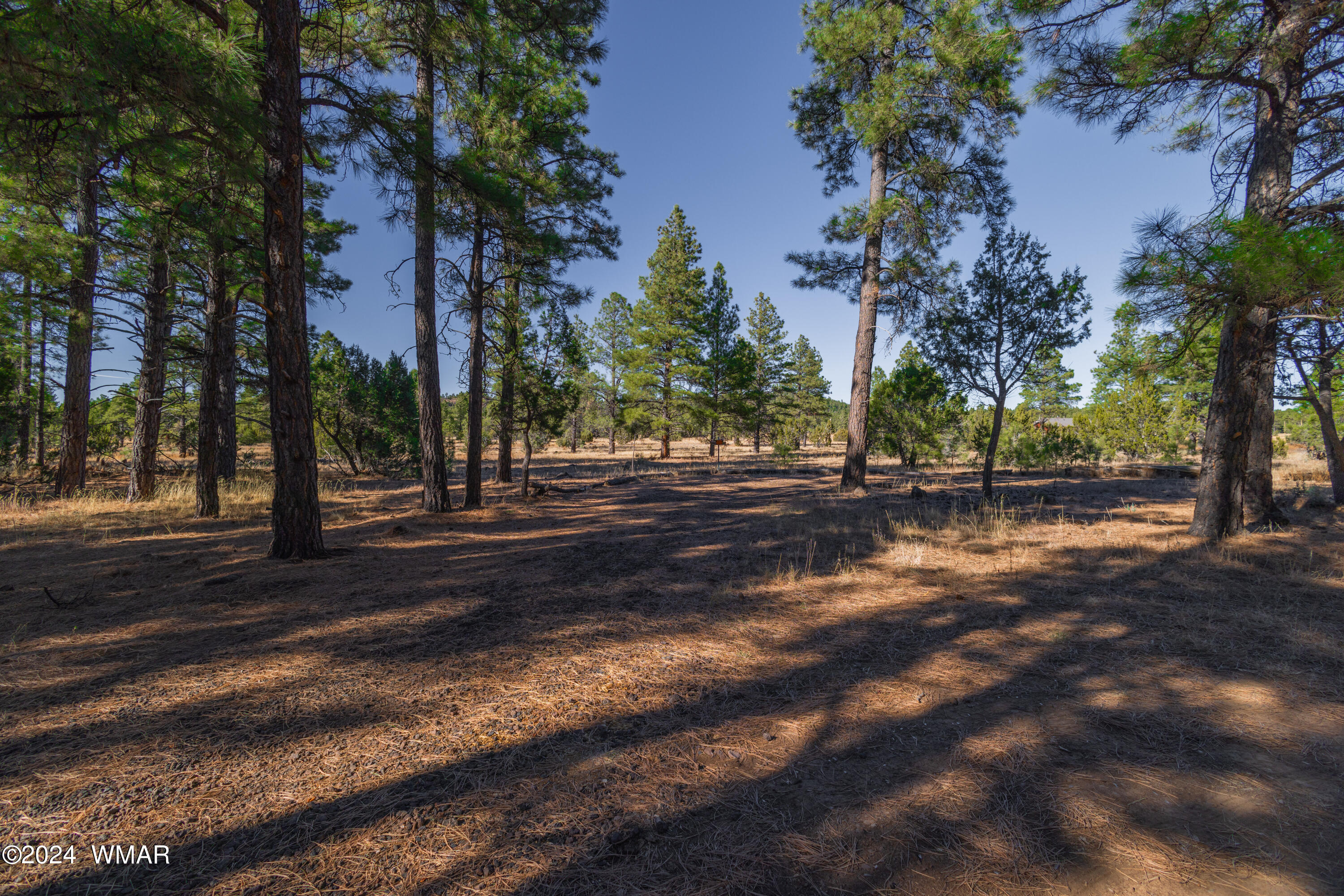 39 L Dynamite Pinetop, AZ 85935 - Photo 3 of 12