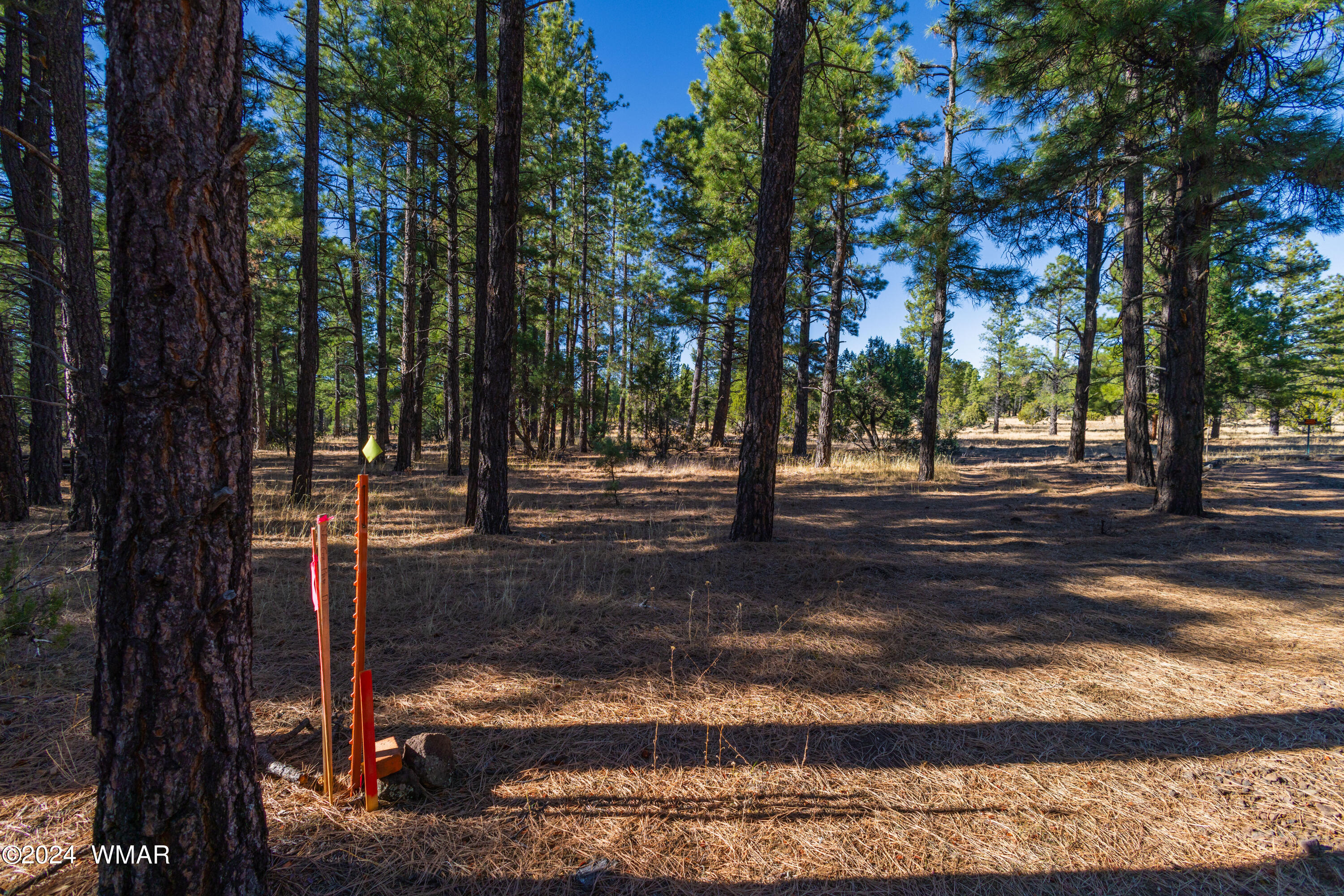 39 L Dynamite Pinetop, AZ 85935 - Photo 5 of 12