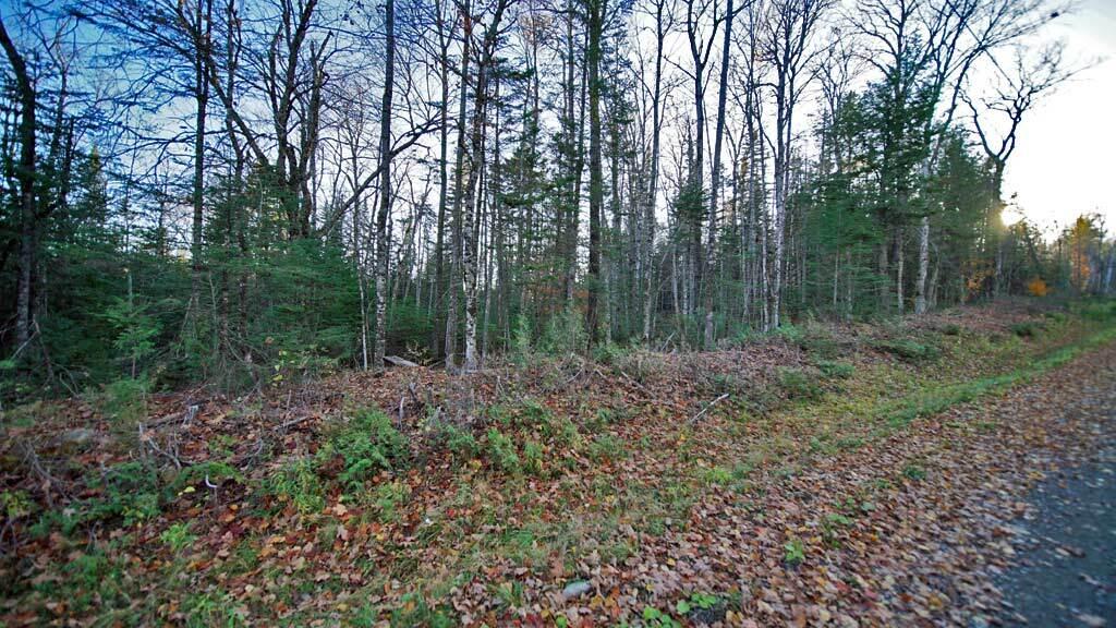 Lot 18 South Oakfield Road Houlton, ME 04730 - Photo 13 of 32 land-maine-waterfront-1