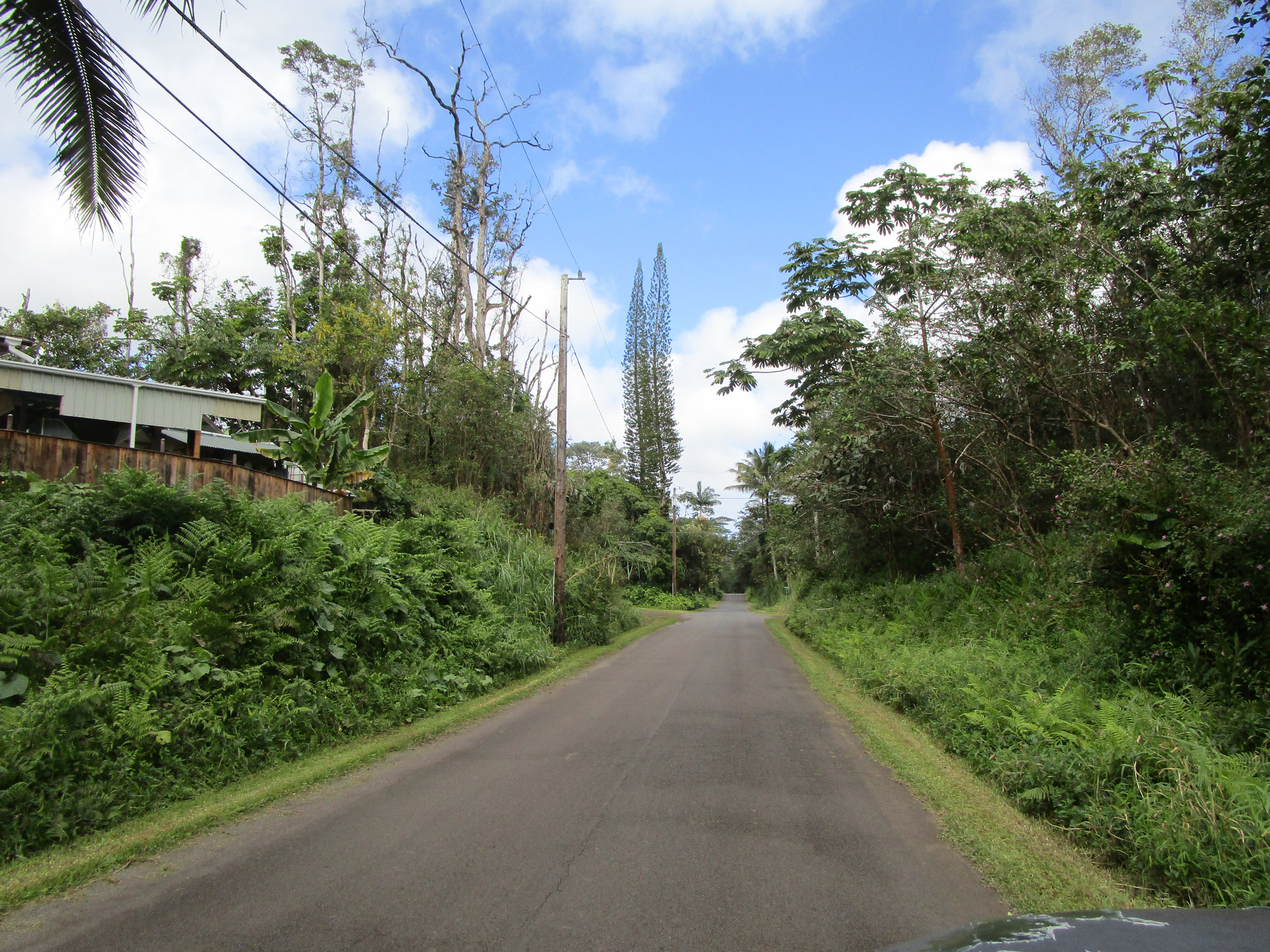 349 Flower Road Pahoa, HI 96778 - Photo 3 of 3 Gallery Image 3