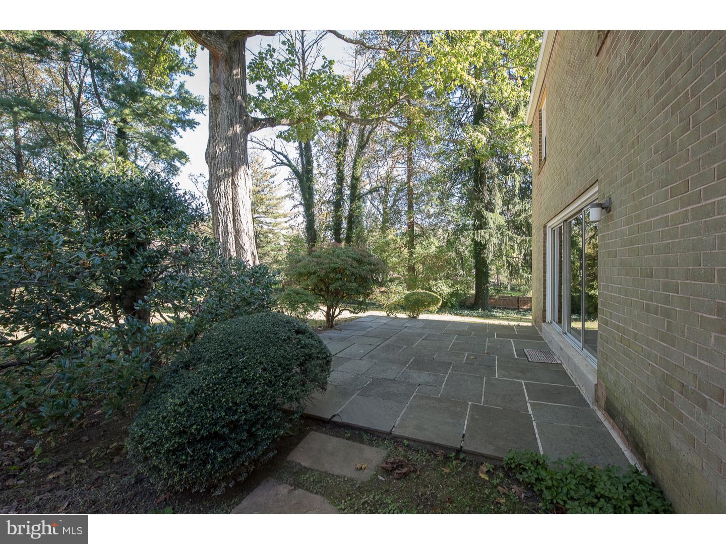 1101 Berwind Road Wynnewood, PA 19096 - Photo 4 of 25 Patio
