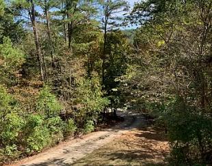 3041 Lower River Road Northwest Georgetown, TN 37336 - Photo 6 of 30 Screen Shot 2019-12-10 at 11.02.57 PM