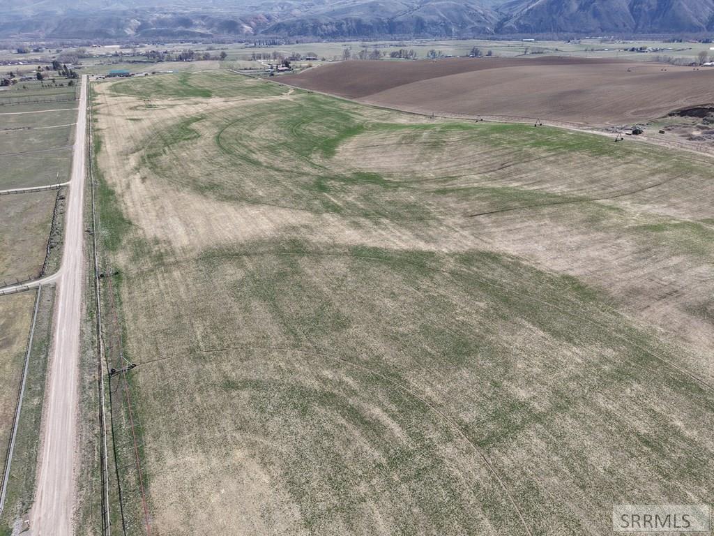 Tbd Williams Creek Road Salmon, ID 83467 - Photo 26 of 60